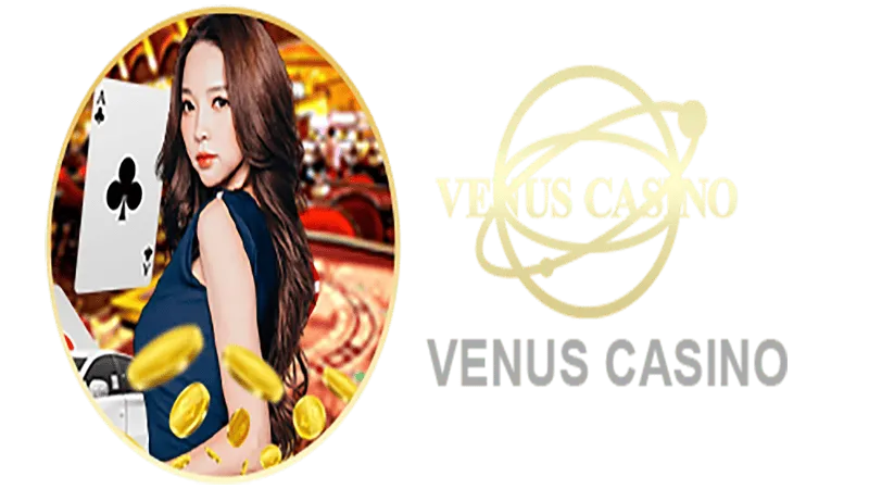 33 bet Informações básicas sobre o saguão do cassino Venus